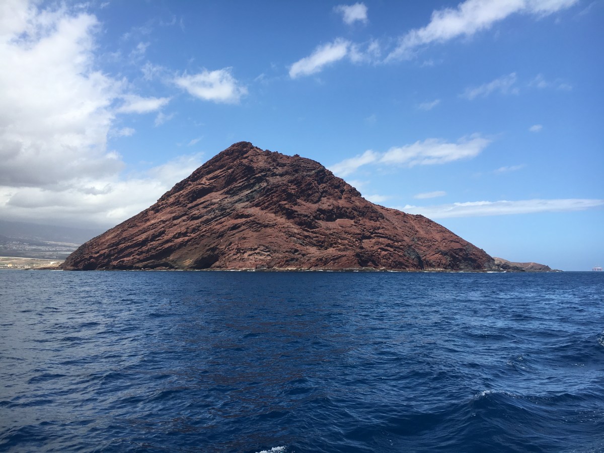 Por fin en la linea de&nbsp;salida