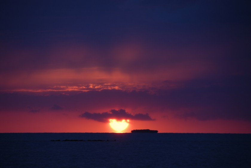 Jardines de la reina03222019 (22).jpg