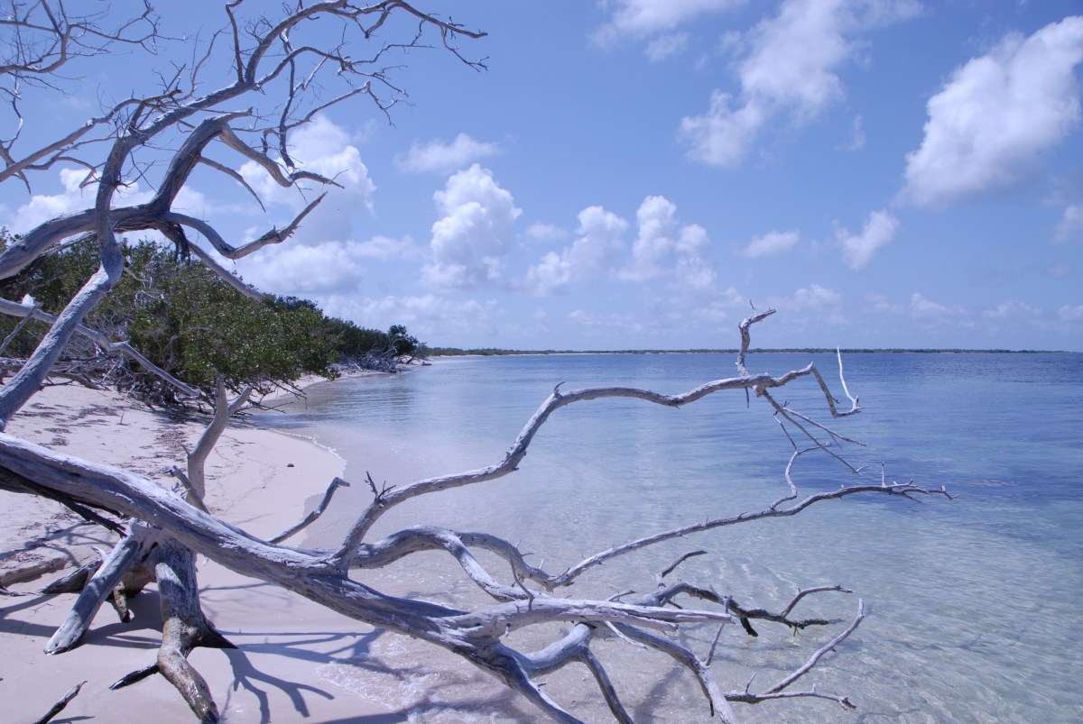 Cayo Anclitas y Cayo&nbsp;Largo