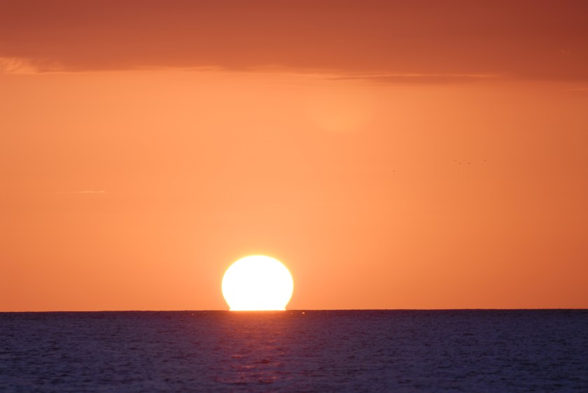 Jardines de la reina03262019 (84).jpg