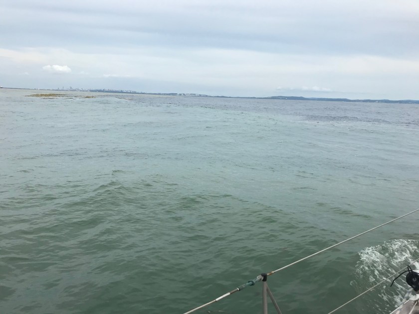 Guna-Bonaire - 27.jpeg